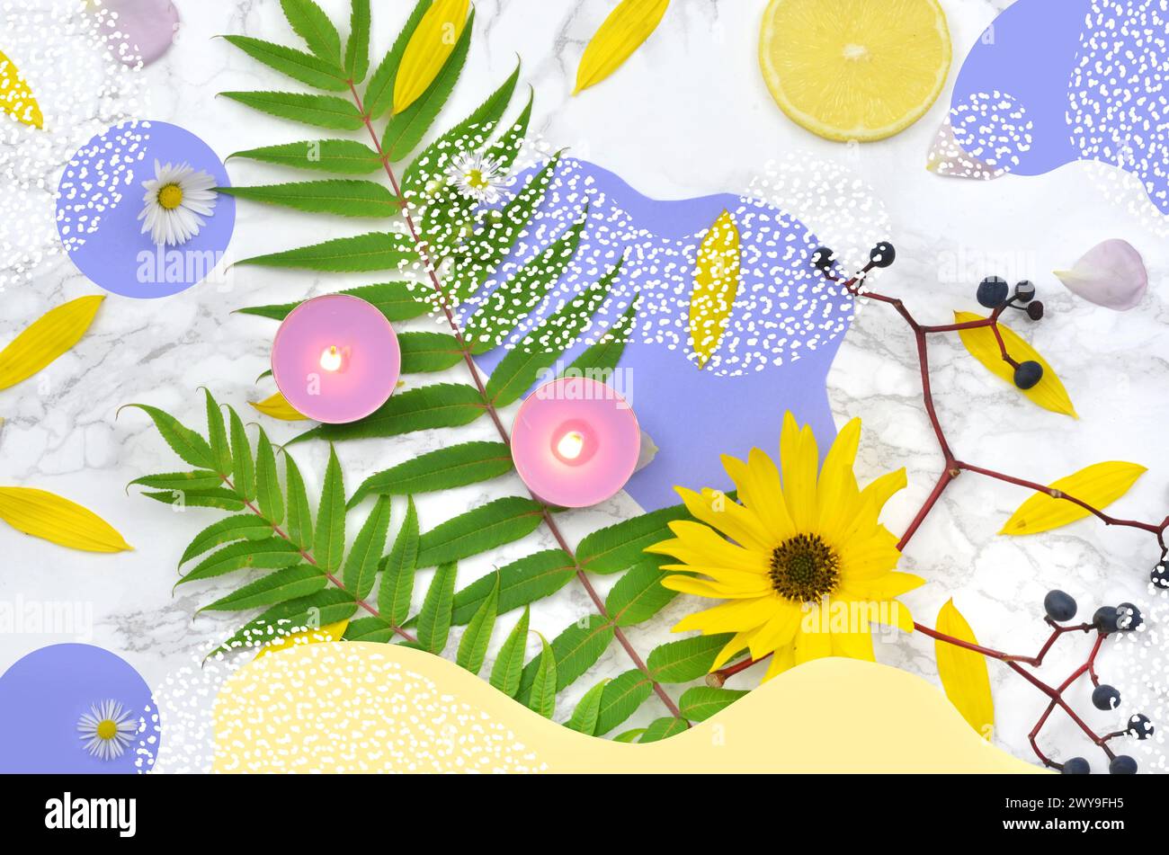 Foto mescolate con grafica: Composizione con fiori, foglie e forme astratte. Vista dall'alto. Foto Stock