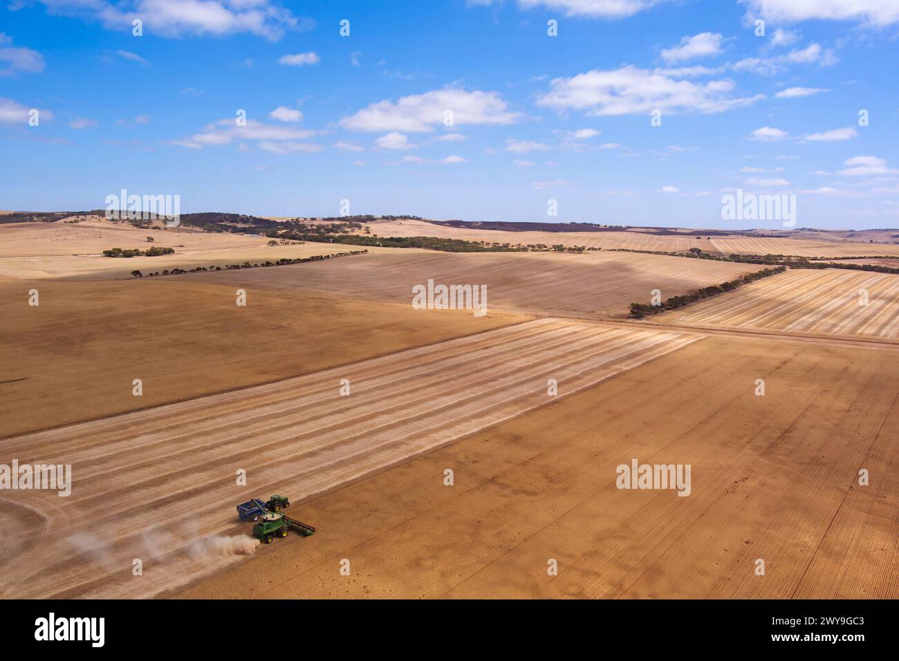 La mietitrebbiatrice aerea che raccoglie un campo di grano vicino a Tumby Bay Eyre Peninsula, Australia meridionale Foto Stock