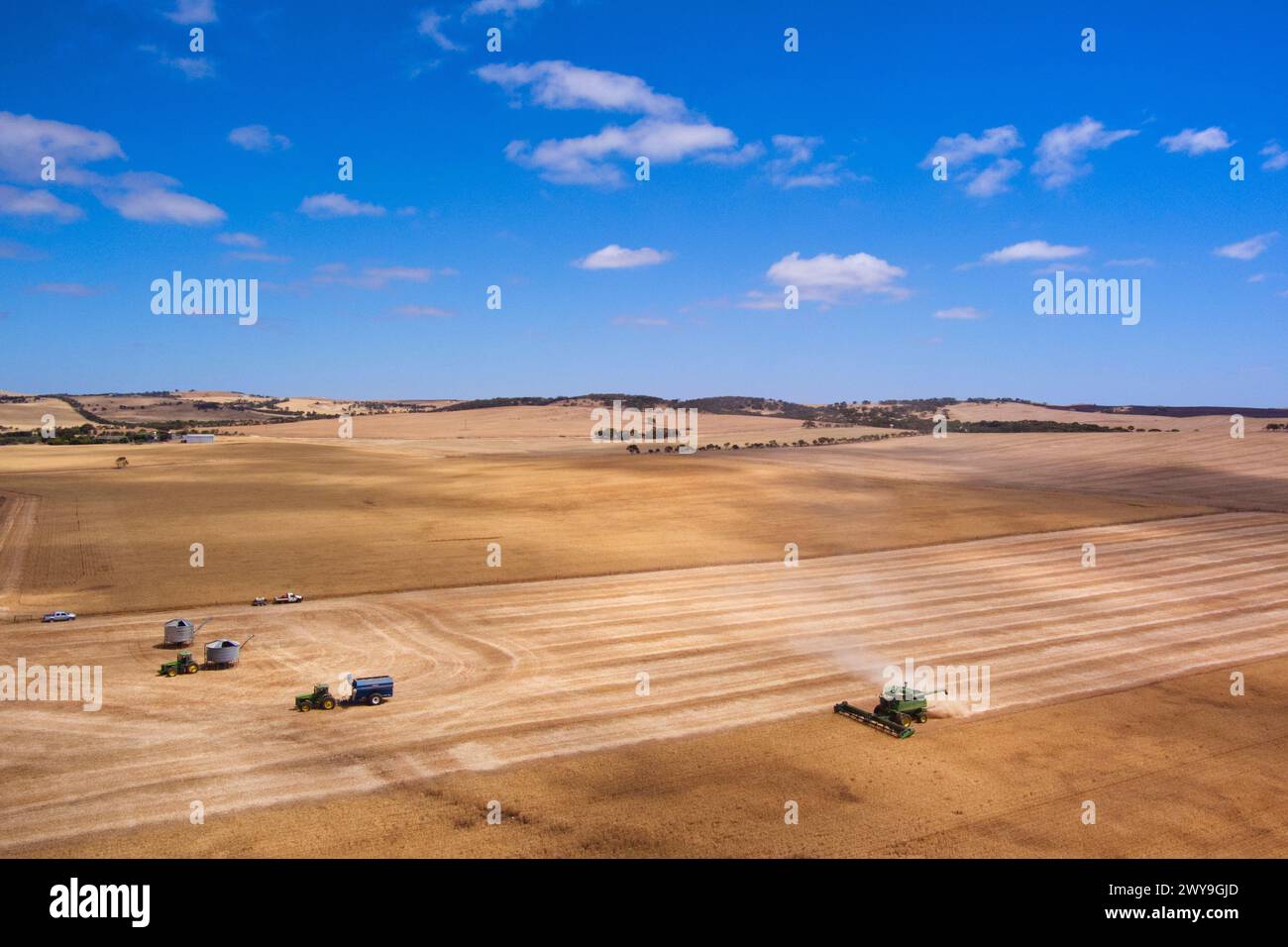 La mietitrebbiatrice aerea che raccoglie un campo di grano vicino a Tumby Bay Eyre Peninsula, Australia meridionale Foto Stock
