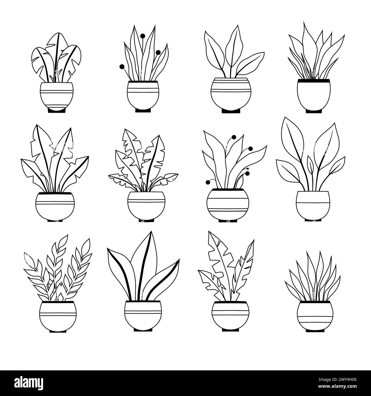 Set vettoriale di contorni di varie piante in pentole clip art Collezione di fiori monocromatici in vasi per la decorazione della casa. Elementi di design naturali Illustrazione Vettoriale