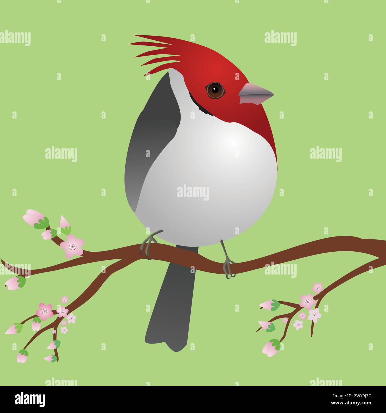 Un carino uccello cardinale crestato rosso a forma di uovo. L'uccello si siede su un ramo con fiori rosa. Illustrazione Vettoriale