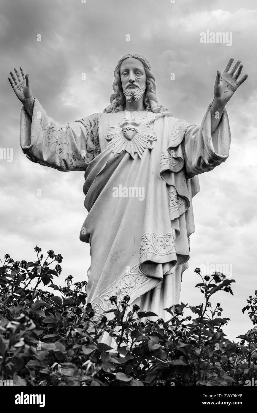 Statua di Gesù con arbusti in primo piano in bianco e nero Foto Stock