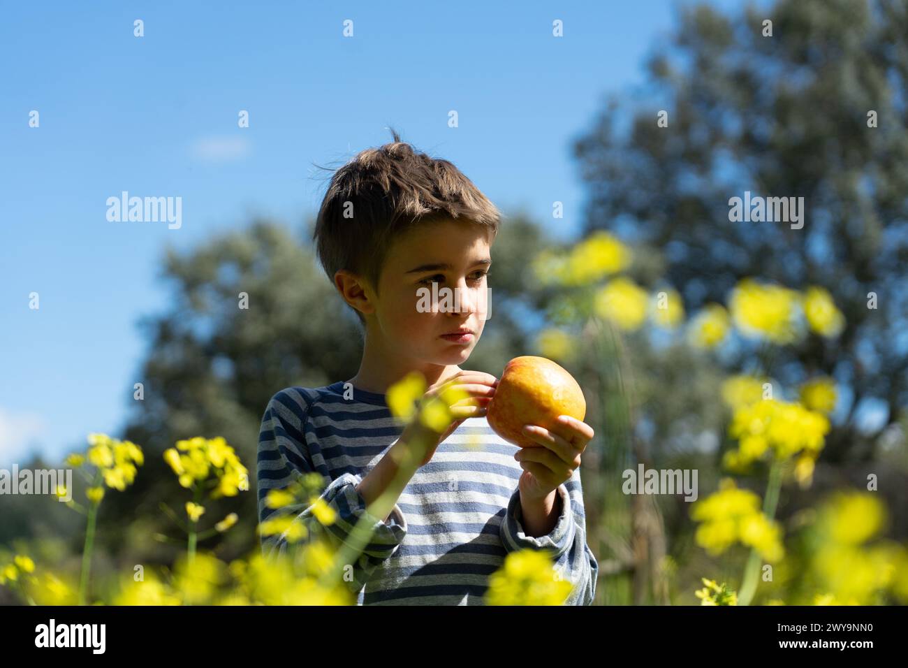 Bambino in natura in primavera con fiori gialli e una mela in mano Foto Stock