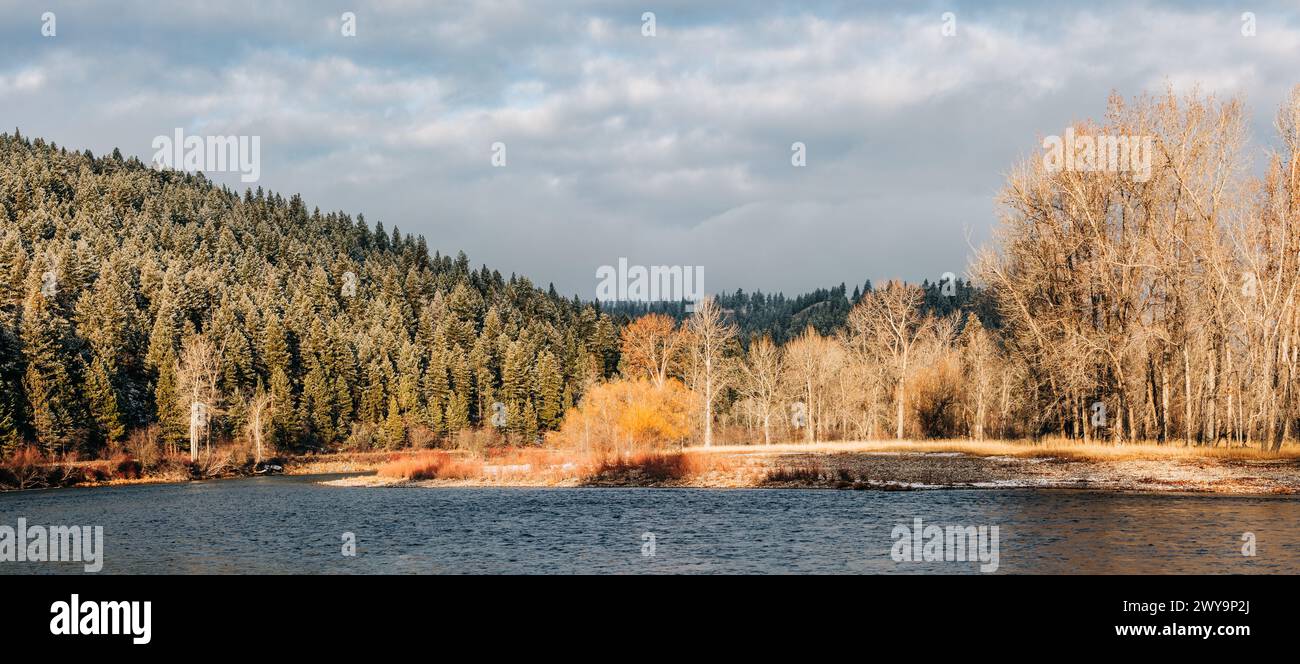 Luce mattutina sul fiume Bitterroot in Montana Foto Stock