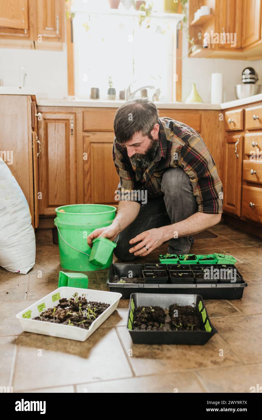 Un'ampia dose di uomo che ingloba piantine di verdure in cucina Foto Stock