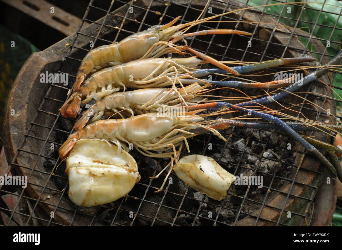 Gamberetti alla griglia e Squid, Thai Street Food, Bangkok, Thailandia, Sud-est asiatico, Asia Copyright: MichaelxSzafarczyk 1235-1411 Foto Stock