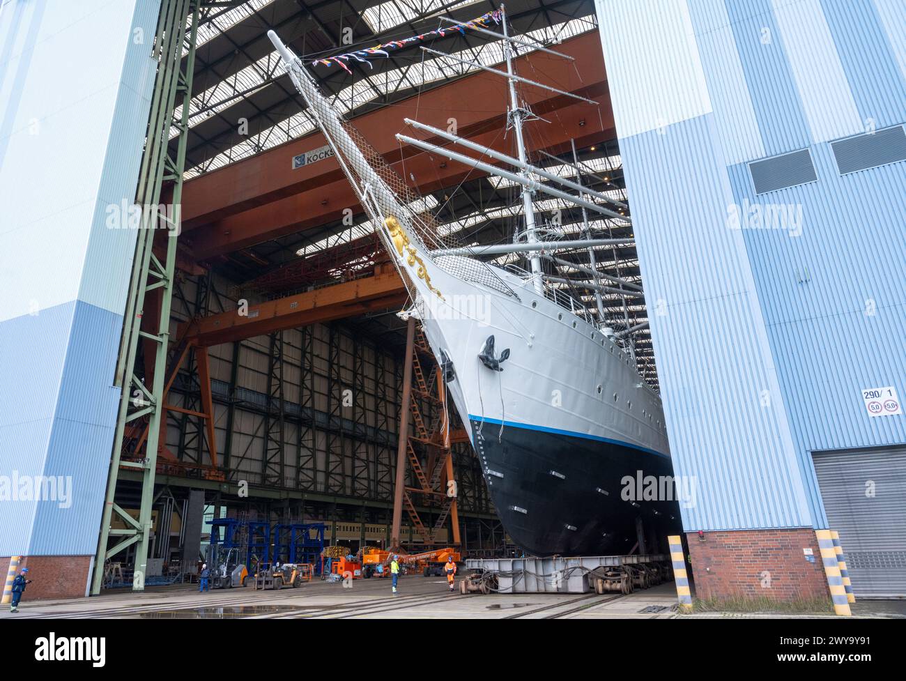 5 aprile 2024, Meclemburgo-Pomerania Occidentale, Stralsund: Il "Gorch Fock 1" ha lasciato il cantiere navale. Dopo aver trascorso diversi mesi nella grande sala di costruzione navale del cantiere navale Volkswerft di Stralsund, il tradizionale veliero "Gorch Fock 1" di oltre 90 anni è tornato all'aria aperta. Lo stesso giorno, l'ex nave addestratrice a vela ha lasciato la sala del cantiere con un nuovo, scintillante rivestimento bianco di vernice, dove i costruttori navali hanno effettuato estesi lavori di ristrutturazione. In futuro, la nave sarà nuovamente aperta al pubblico come nave museo. Foto: Stefan Sauer/dpa Foto Stock
