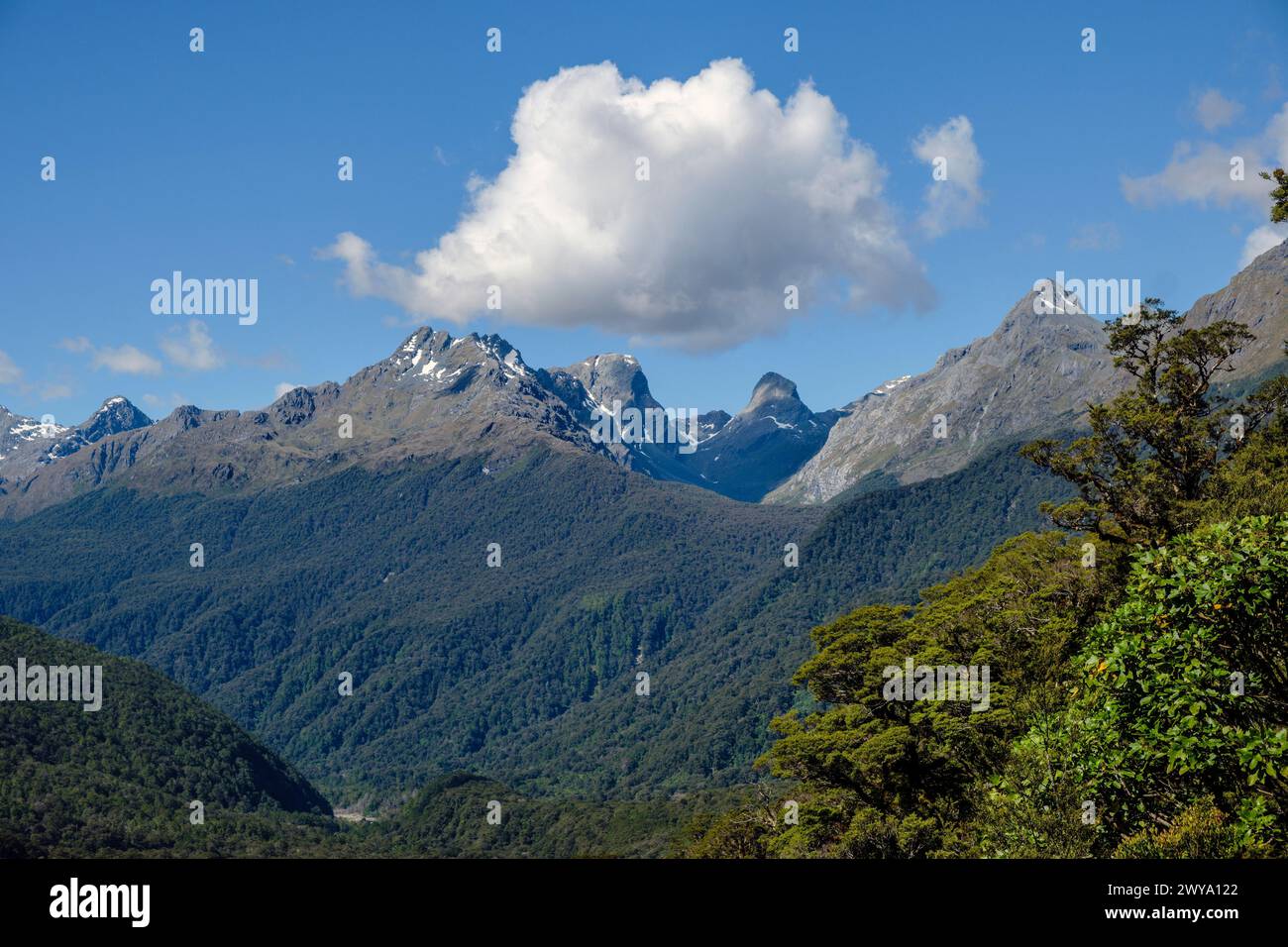 La Hollyford Valley e vista verso Ocean Peak e le Humboldt Mountains, il Fiordland National Park, Southland, South Island, nuova Zelanda Foto Stock