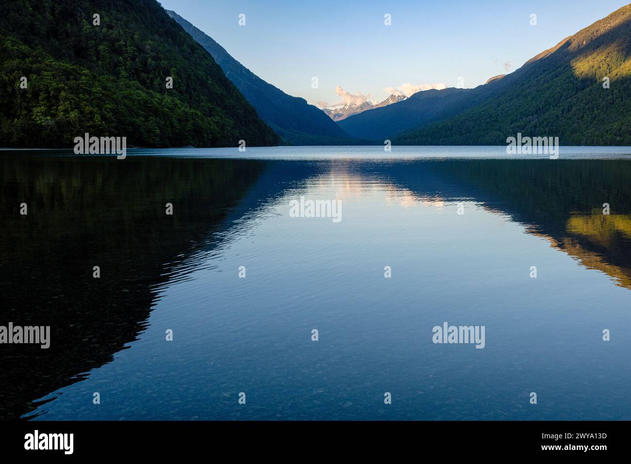 Il lago di Gunn, Parco Nazionale di Fiordland, Southland, Isola del Sud, Nuova Zelanda Foto Stock
