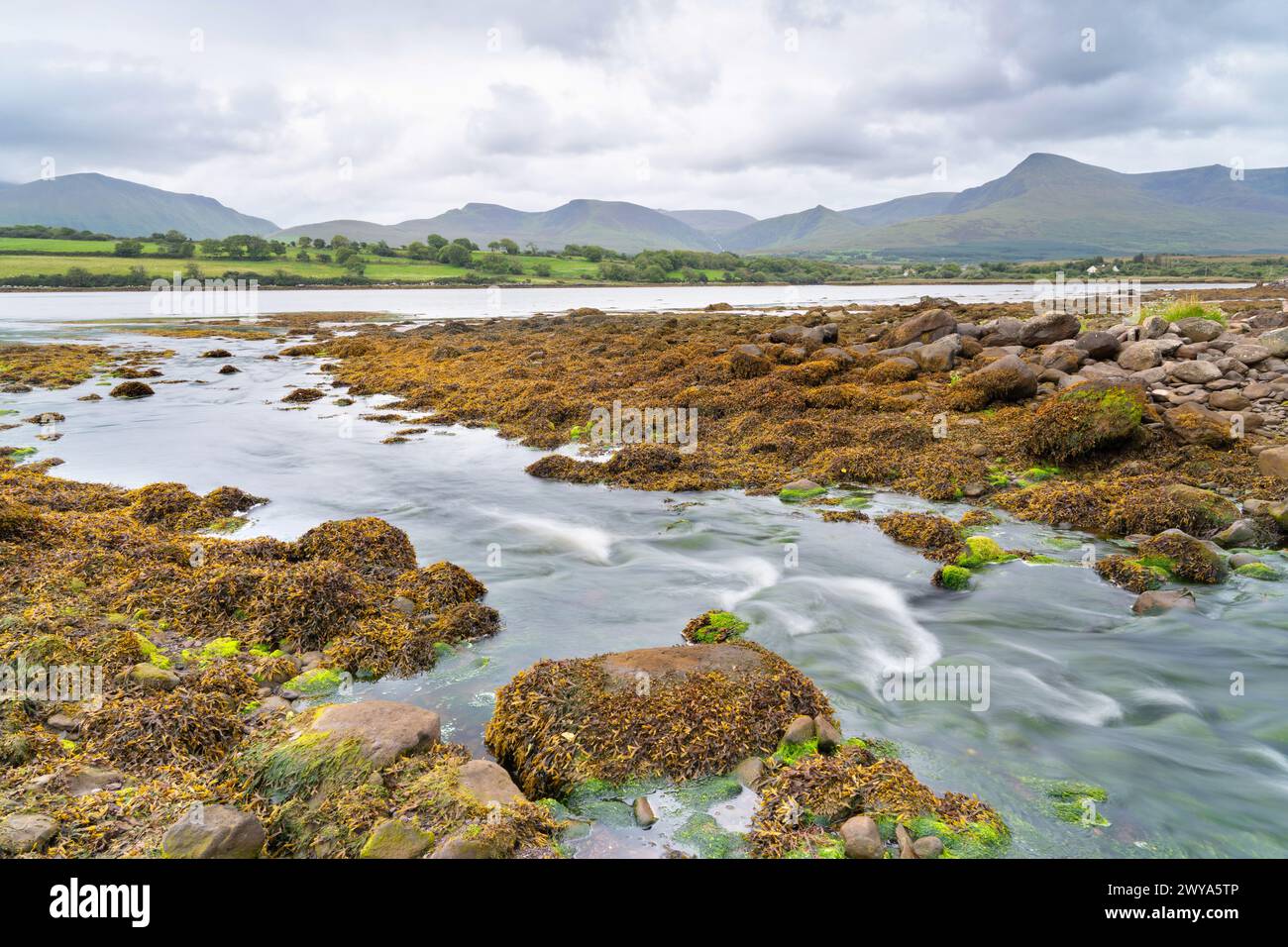 Costa rocciosa dell'estuario di Owenmore a Cloghane, Contea di Kerry, Irlanda Foto Stock