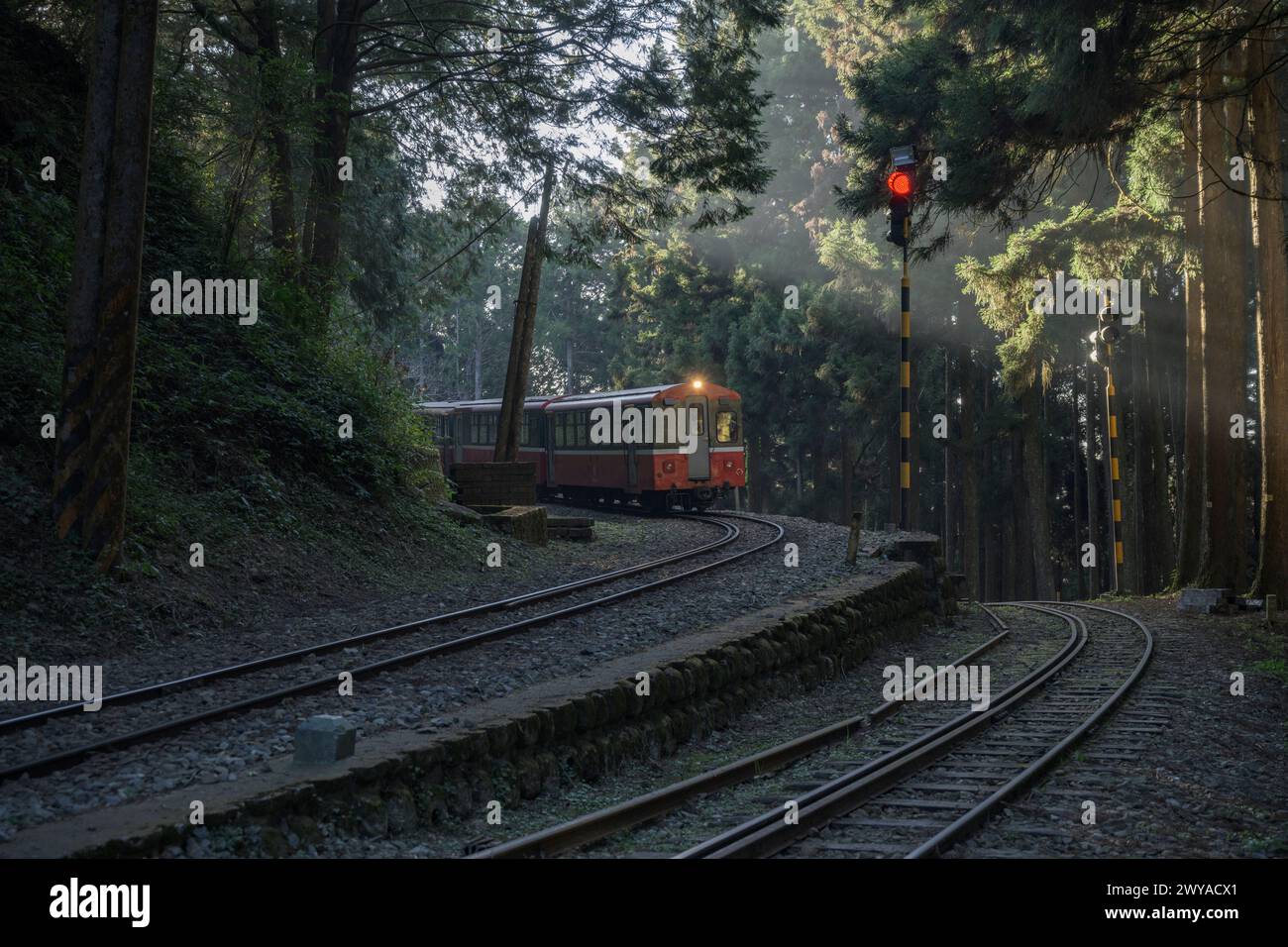 Un treno vecchio stile viaggia su un binario ferroviario curvo attraverso boschi nebbiosi con fasci di luce che penetrano attraverso la foresta nel Parco Nazionale di Alishan Foto Stock