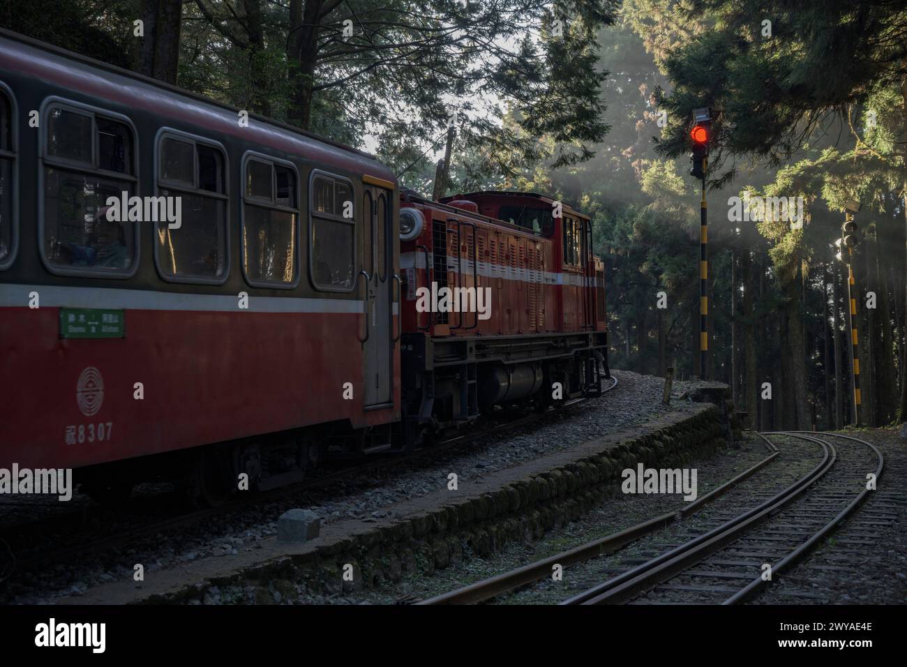 Un treno vecchio stile viaggia su un binario ferroviario curvo attraverso boschi nebbiosi con fasci di luce che penetrano attraverso la foresta nel Parco Nazionale di Alishan Foto Stock