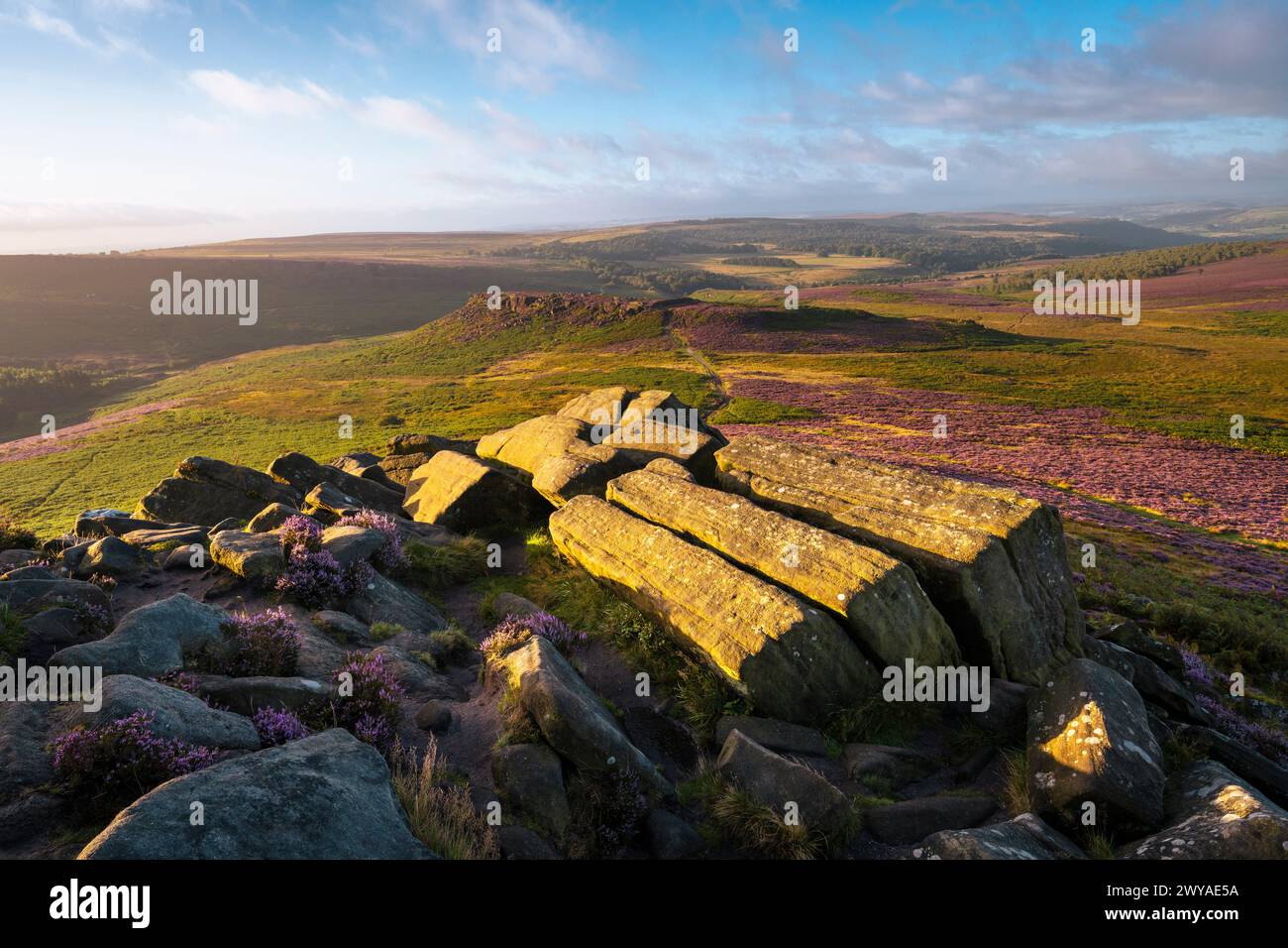 Il sole nascente illumina l'erica e le rocce grintose di Kat-Kat dell'Higger Tor in una mattinata d'estate. Foto Stock