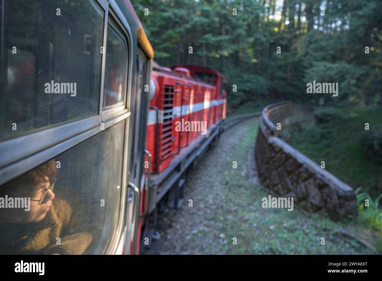 Un treno vecchio stile viaggia su un binario ferroviario curvo attraverso boschi nebbiosi con fasci di luce che penetrano attraverso la foresta nel Parco Nazionale di Alishan Foto Stock