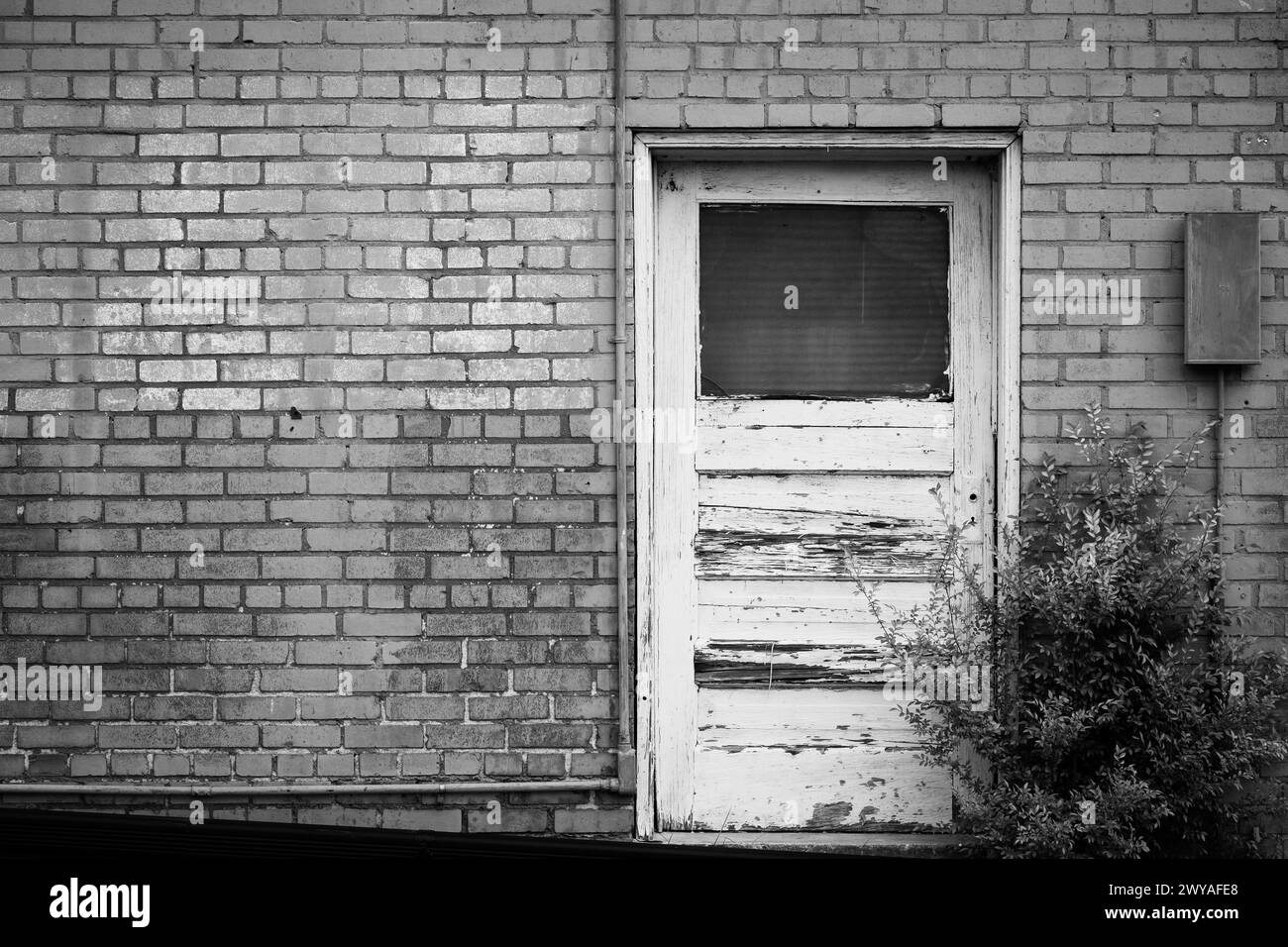 Vernice intemprata e sbucciata su porte in legno disposte su vecchie pareti in mattoni Foto Stock