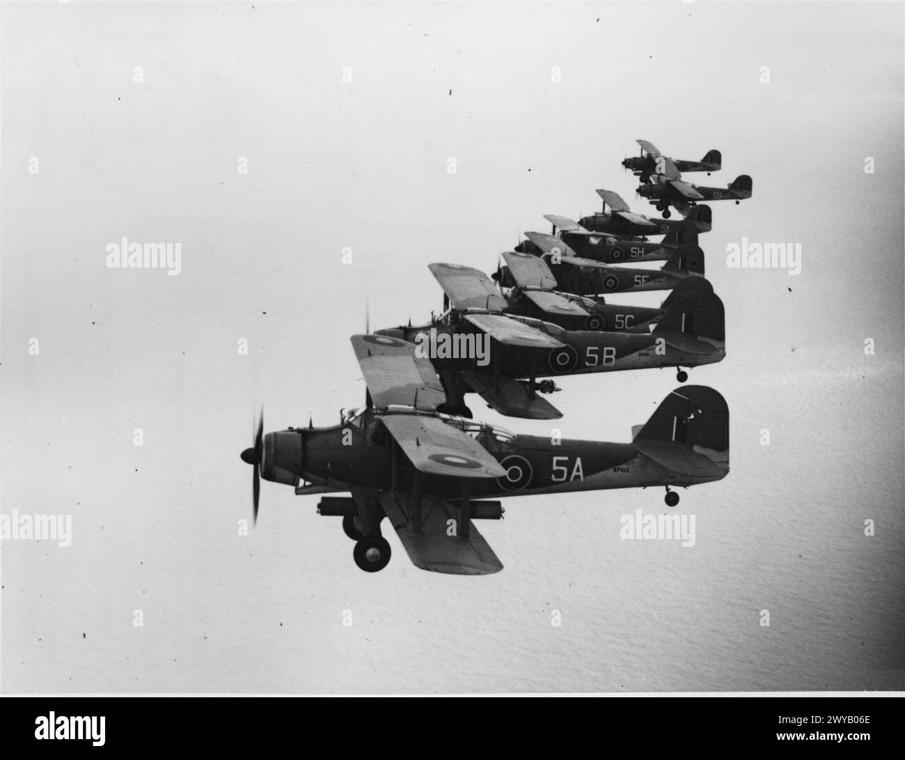 Otto Fairey Albacore del 820 Naval Air Squadron volano a echelon in esercitazione, trasportando siluri fittizi per l'addestramento durante la seconda guerra mondiale. Foto Stock