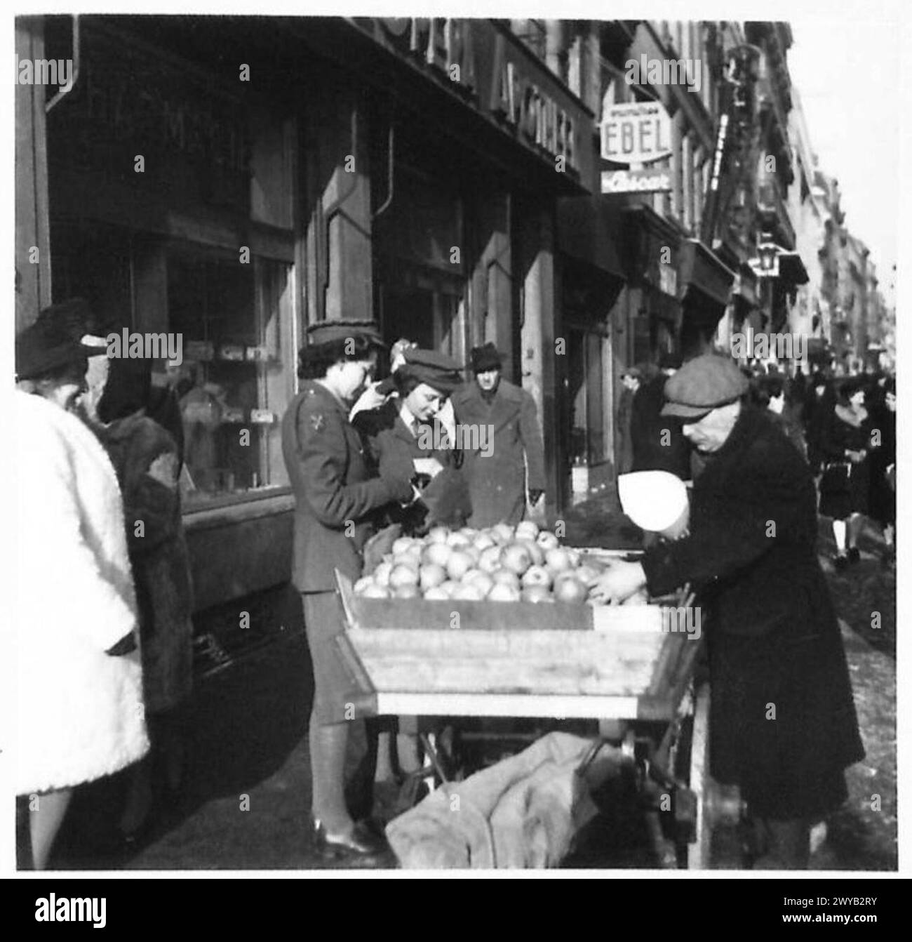I membri ATS acquistano frutta presso le bancarelle di Bruxelles durante il congedo. Negativo fotografico dell'esercito britannico, 21st Army Group. Foto Stock