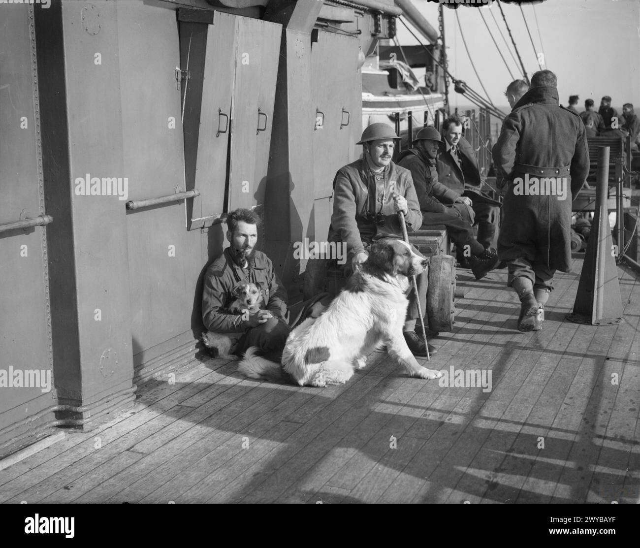 Durante la campagna norvegese dall'aprile al giugno 1940, un Chasseur Alpin francese a bordo di una nave da trasporto con due cani fu evacuato da Namsos. È presente un soldato britannico. Foto Stock