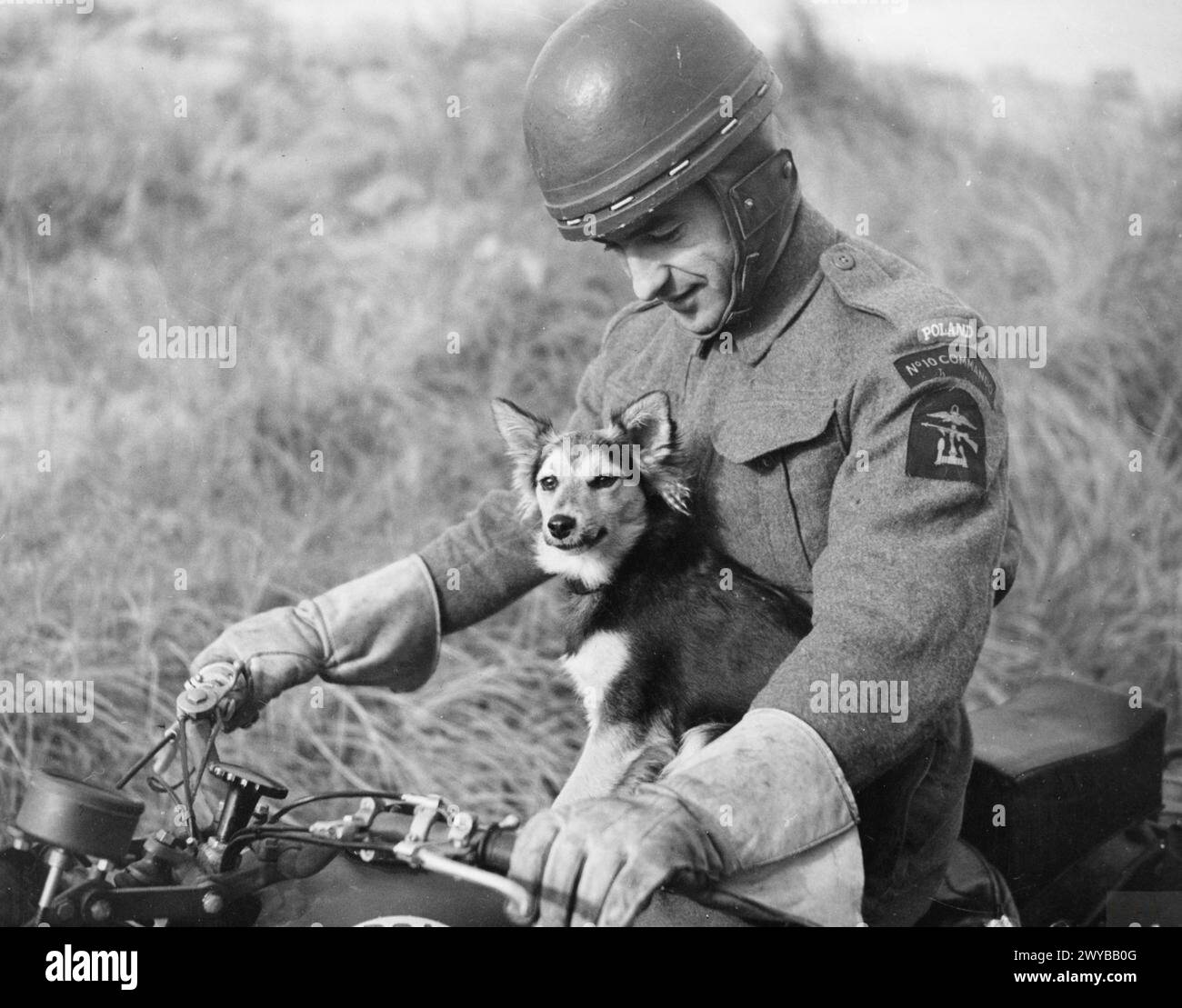 L'ESERCITO POLACCO IN GRAN BRETAGNA, 1940-1947 - il sottotenente Adam Bachleda-Curuś del 1st Polish Independent Commando Company (la 6th Troop del 10th Inter-Allied Commando) sulla sua motocicletta BSA C4666503 con la mascotte della compagnia Myszka (mouse). , Esercito polacco, forze armate polacche in Occidente, 1st Independent Commando Company, Bachleda-Curuś, Adam Foto Stock