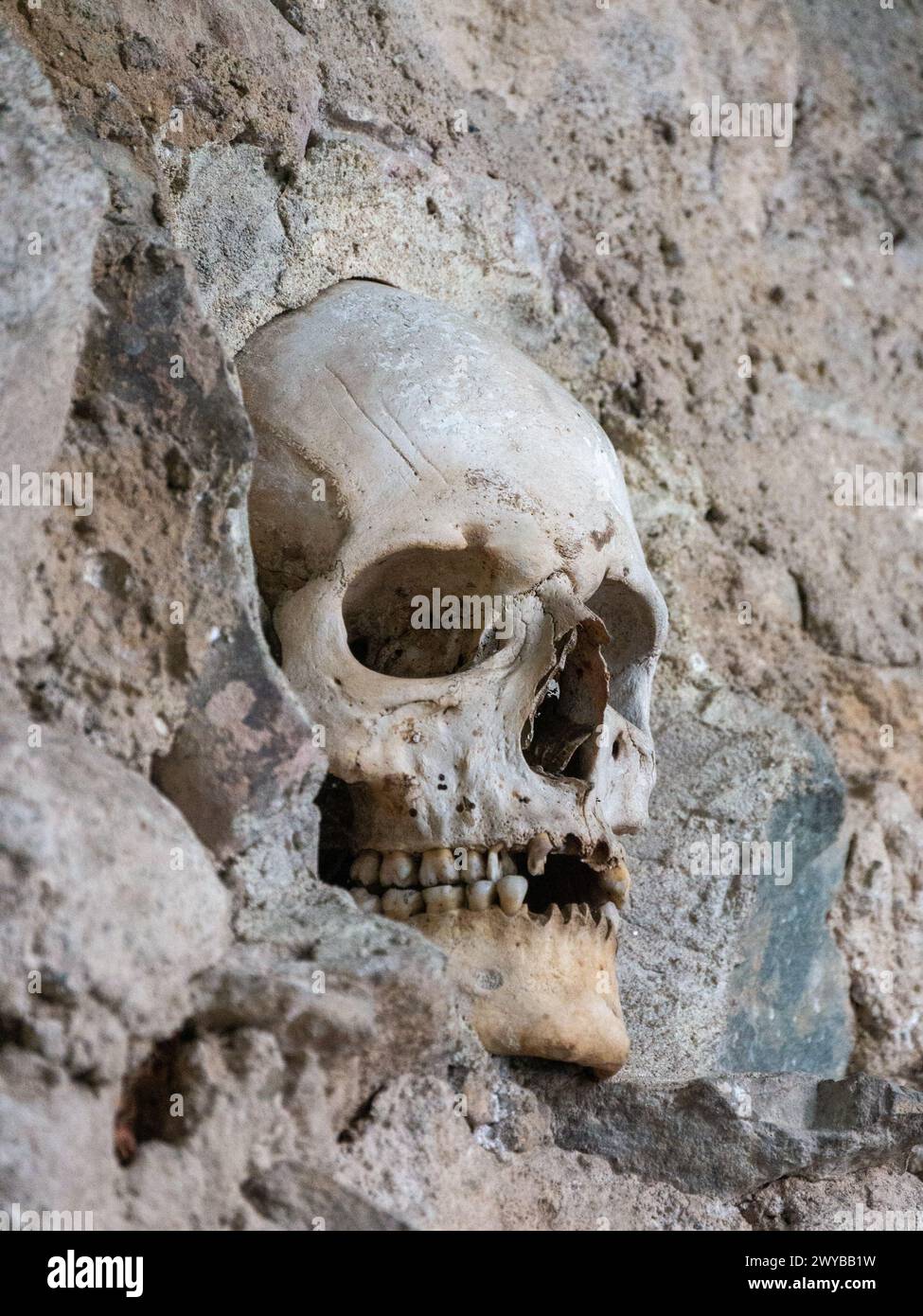 Cranio incastonato nel muro della Skull Tower, Niš, Serbia 3 Foto Stock