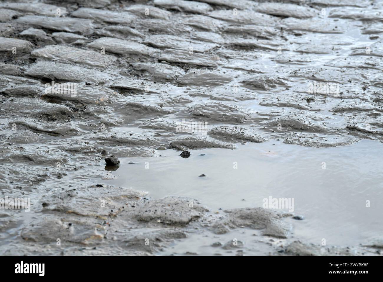 Francia. 5 aprile 2024. © PHOTOPQR/VOIX DU NORD/STEPHANE MORTAGNE ; 05/04/2024 ; Haveluy, le 05/04/2023, Reconnaissance du parcours de Paris Roubaix par les coureurs FOTO STEPHANE MORTAGNE LA VOIX DU NORD ricognizione della pista in vista della gara ciclistica Parigi-Roubaix di quest'anno, venerdì 05 aprile 2024, intorno a Roubaix, Francia. Crediti: MAXPPP/Alamy Live News Foto Stock