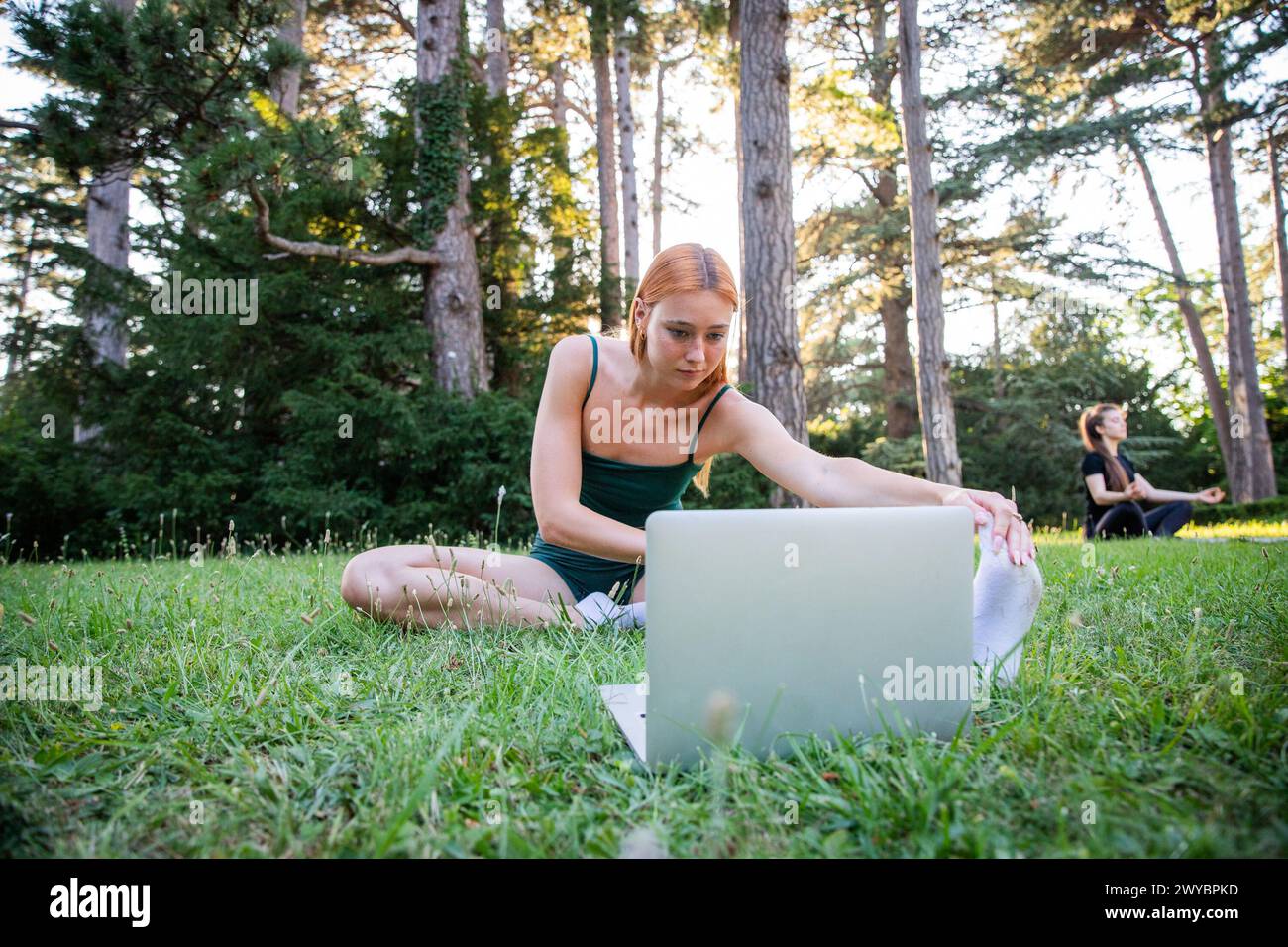Una donna è seduta sull'erba con un portatile di fronte a lei. Guarda lo schermo e si concentra sul suo lavoro. La scena suggerisce una pace Foto Stock