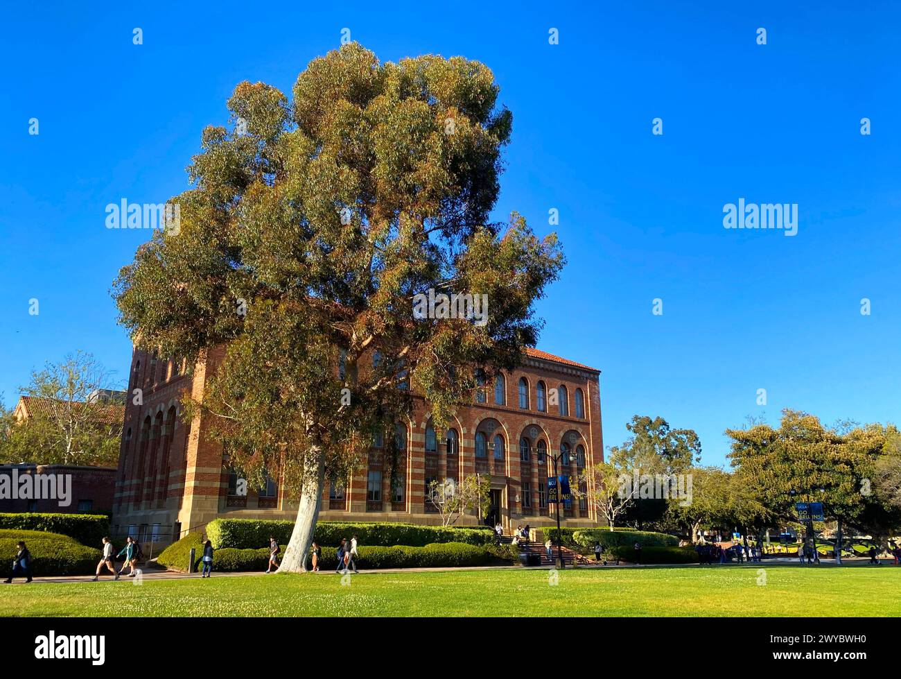 Haines Hall all'UCLA. La University of California, Los Angeles quad a Westwood, LOUISIANA, con lo storico edificio del campus nel pomeriggio. Foto Stock