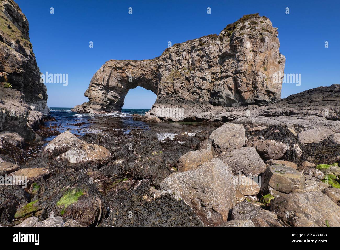 Repubblica d'Irlanda, Contea di Donegal, Penisola di Fanad, Great Pollet Arch, che è il più grande arco marino dell'isola d'Irlanda, con un'altezza di 150 metri. Foto Stock
