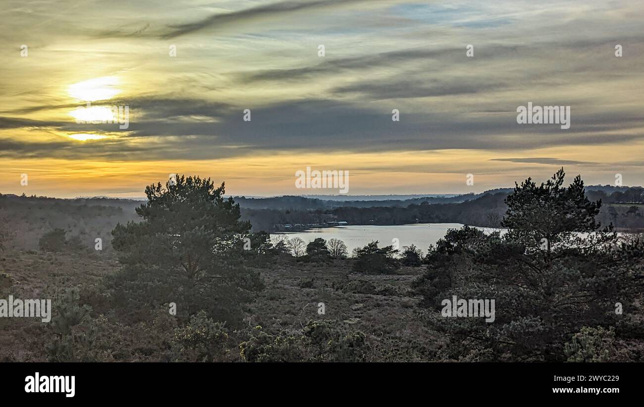 Il re crinale frensham si affaccia sul grande stagno di frensham Foto Stock