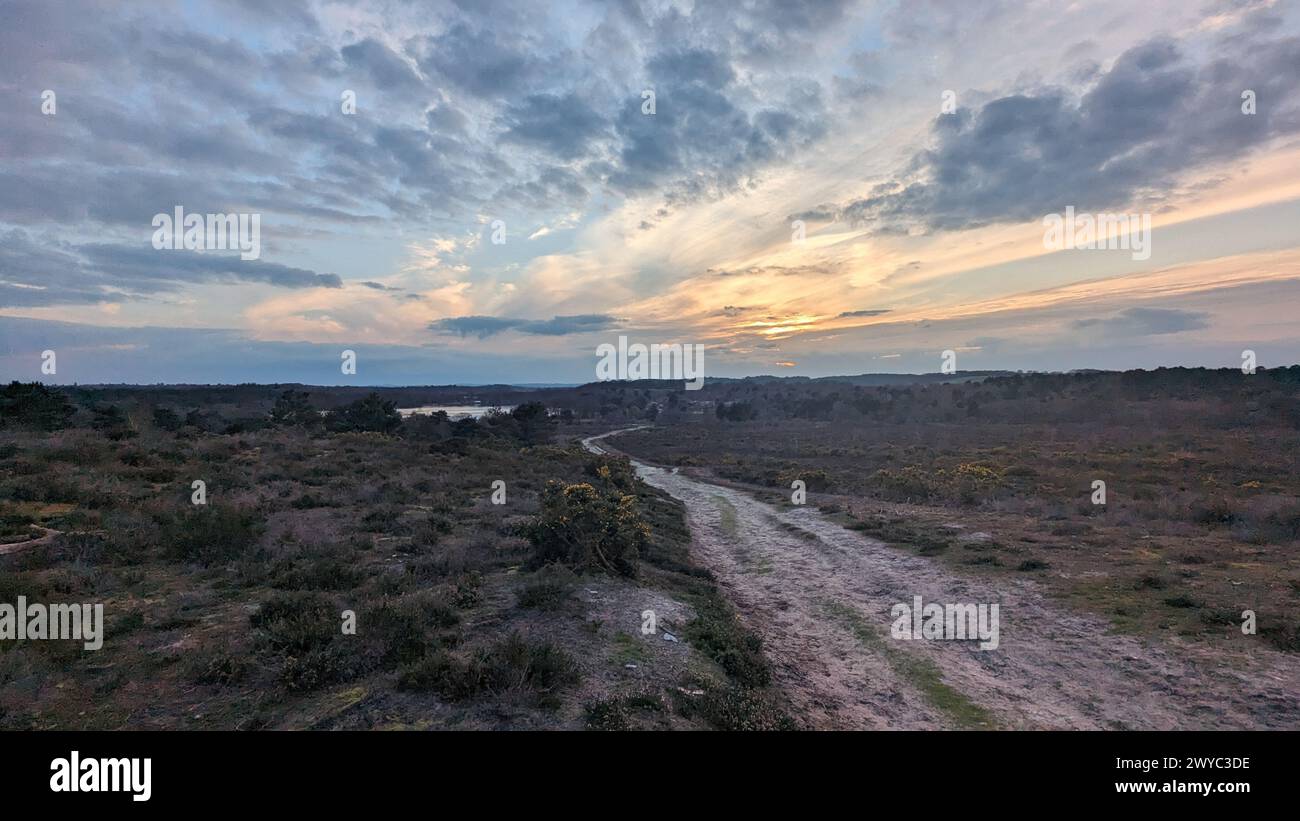 Surrey Hills Thursley e Fresnsham Common Lowland Heath SSI SPA Foto Stock