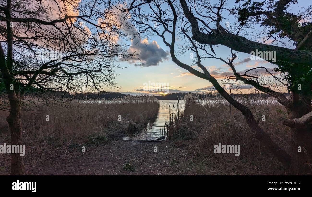 Surrey Hills Thursley e Fresnsham Common Lowland Heath SSI SPA Foto Stock