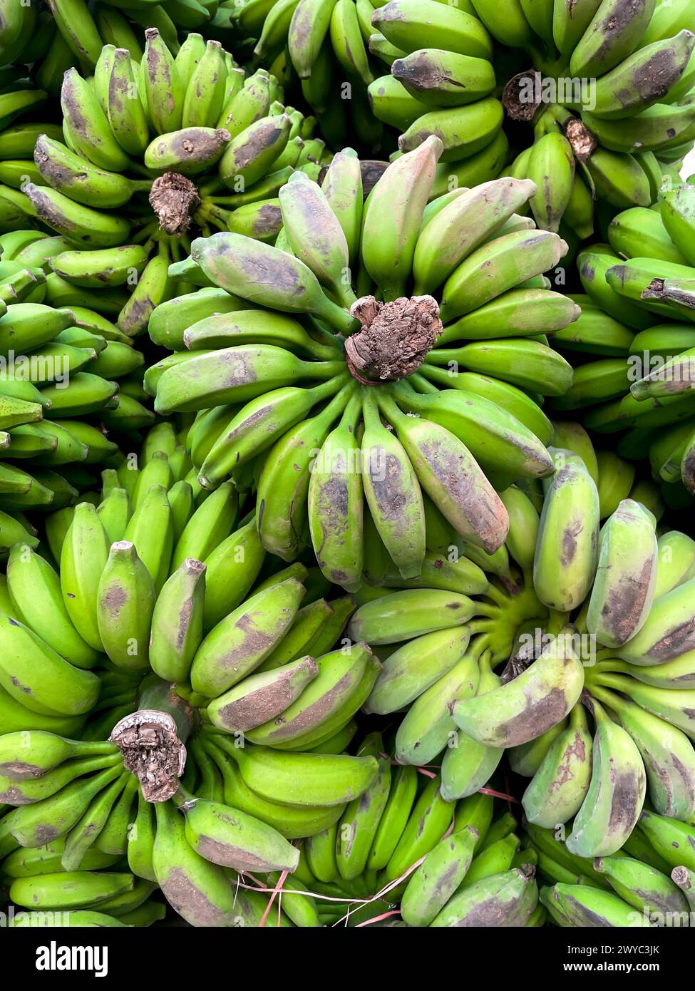 Un mucchio di banane non mature. Questa foto è stata scattata dal Bangladesh. Foto Stock