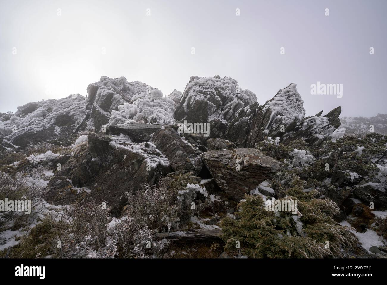 Il sentiero roccioso su un pendio di montagna è ricoperto di ghiaccio e circondato da alberi innevati, con nebbia che aggiunge un'atmosfera mistica Foto Stock