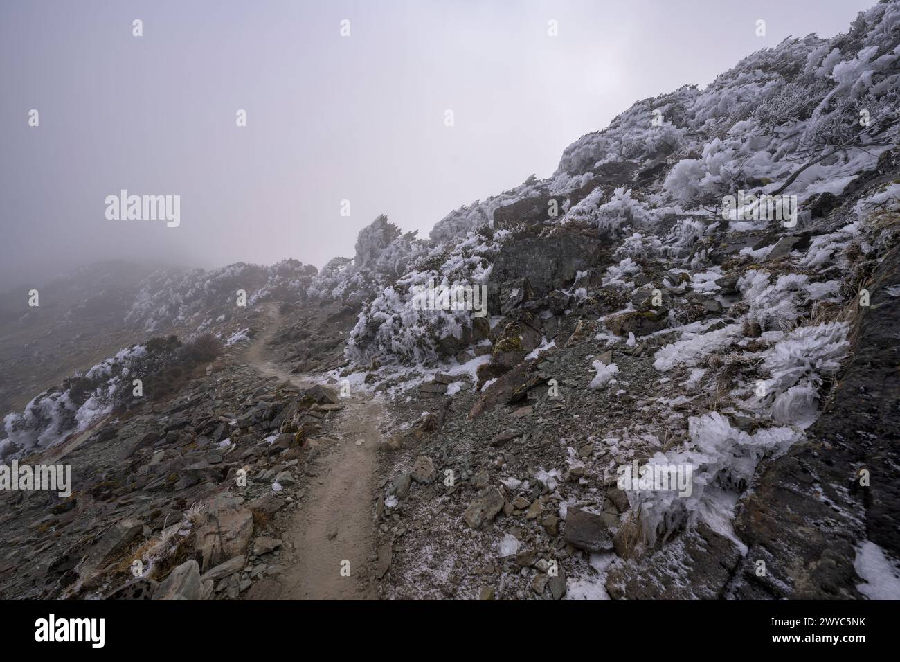 Il sentiero roccioso su un pendio di montagna è ricoperto di ghiaccio e circondato da alberi innevati, con nebbia che aggiunge un'atmosfera mistica Foto Stock