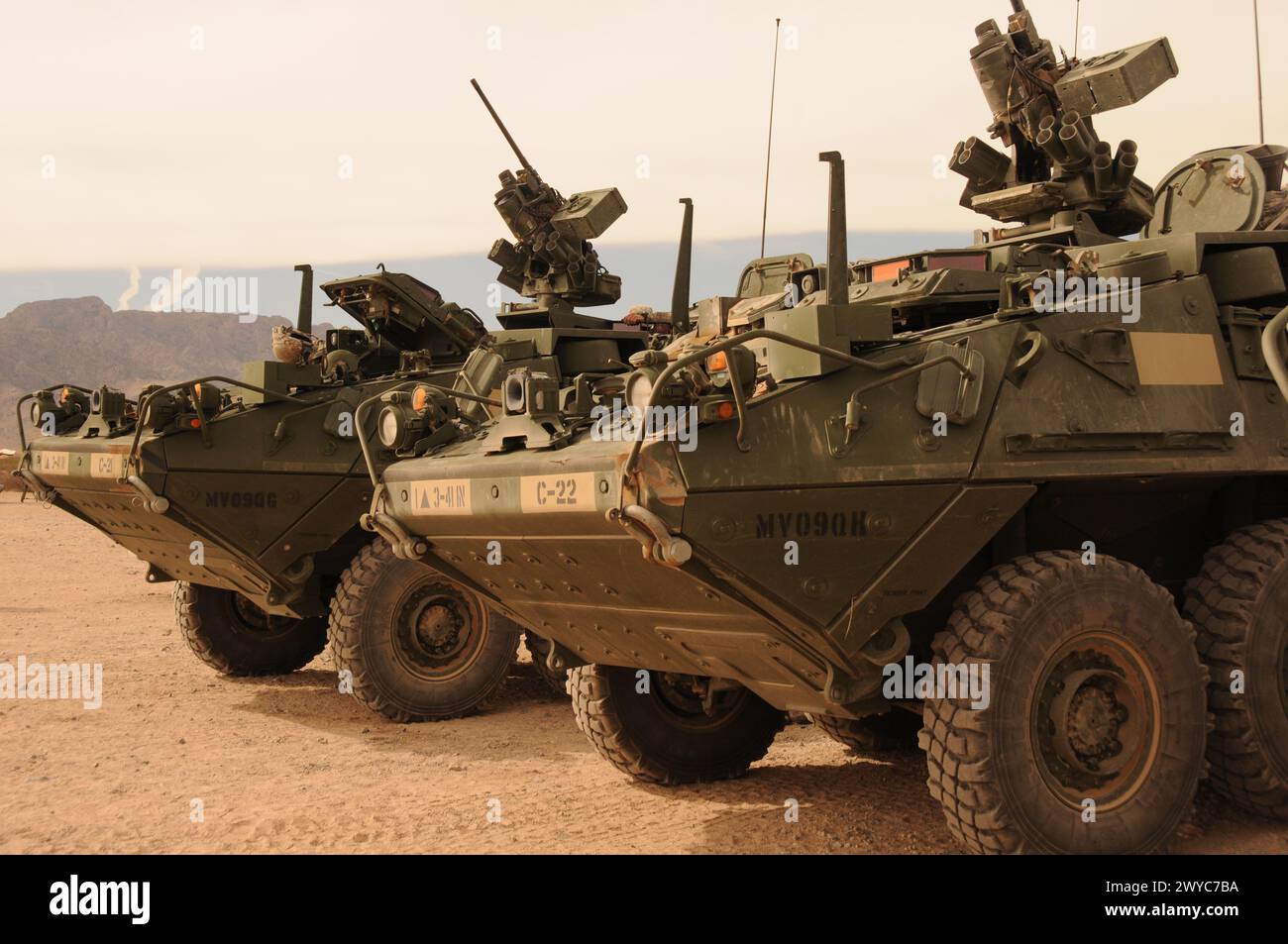 Stryker Fighting Vehicles, Texas Foto Stock