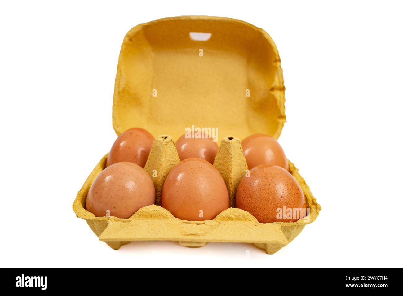 confezione da 6 uova in cartone giallo, vista frontale isolata su bianco Foto Stock