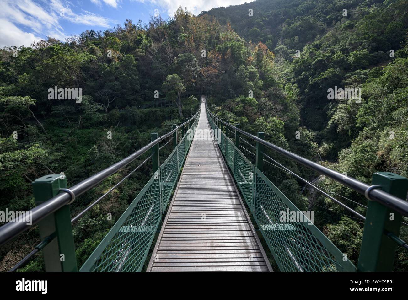 L'immagine cattura un ponte sospeso in legno circondato da una vegetazione lussureggiante Foto Stock