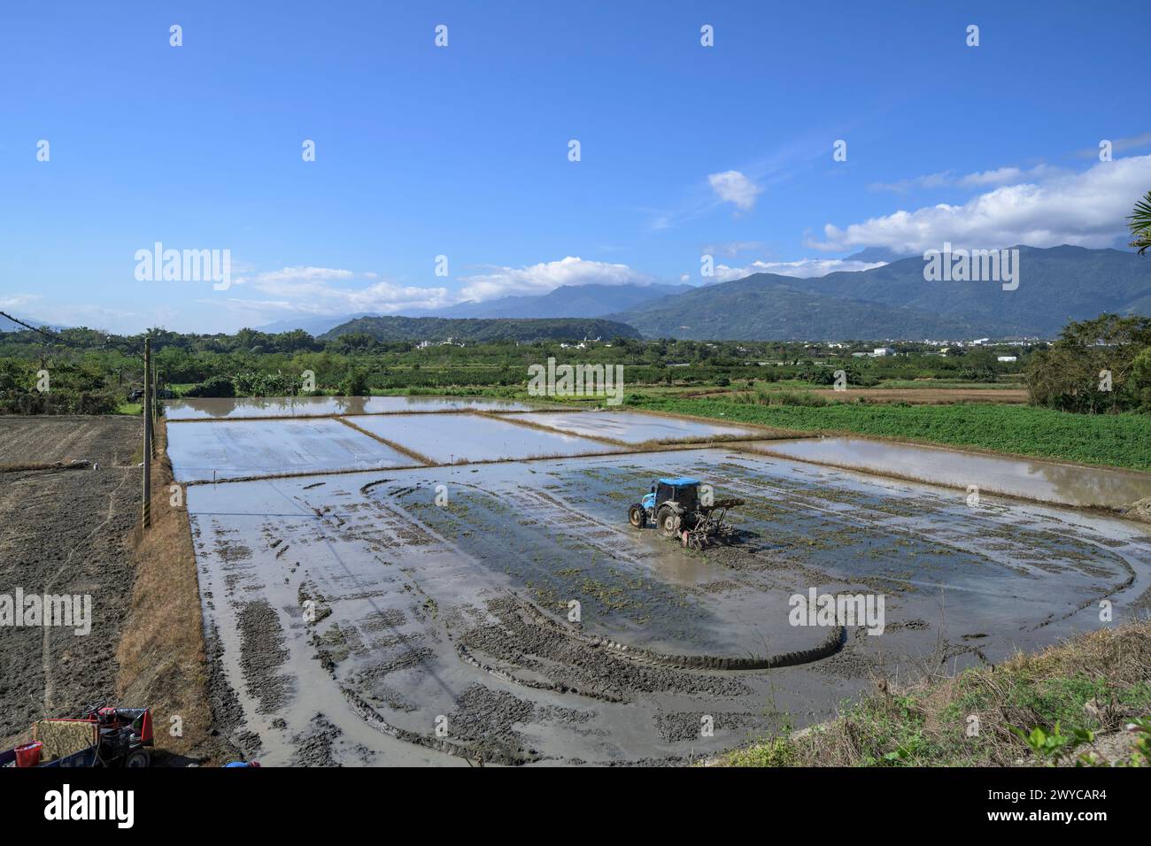 Una pittoresca scena agricola con un trattore che lavora su una risaia allagata sullo sfondo di una montagna Foto Stock