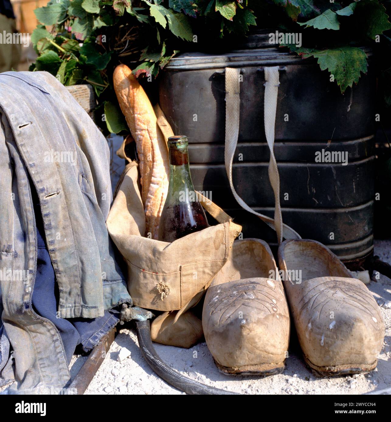 Picnic con vino e pane durante la vendemmia in Francia Foto Stock