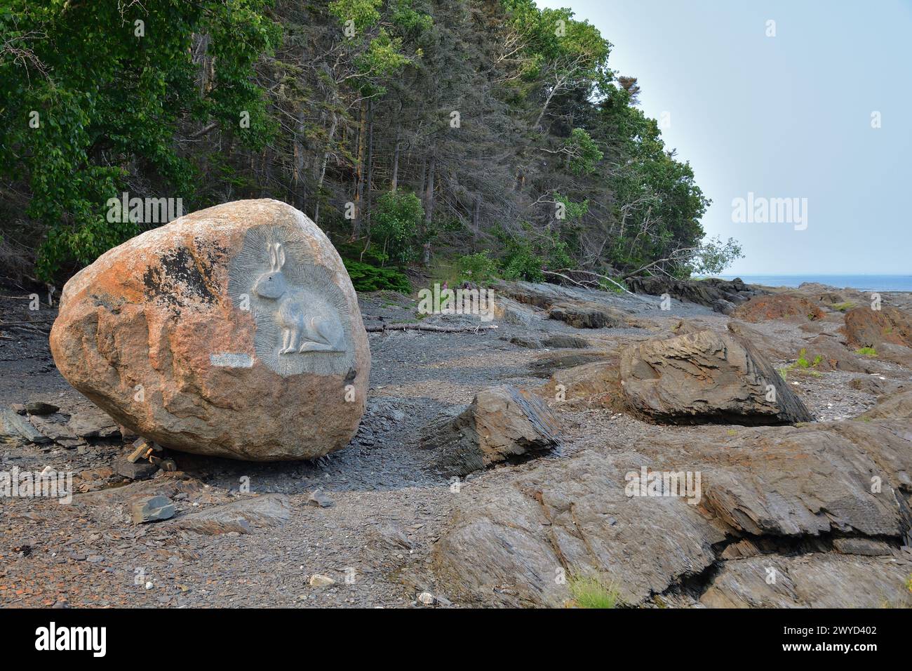 RIVIÈRE DU LOUP, QUEBEC, CANADA - 19 luglio 2021 forma di lepre o coniglio scolpita in un grande masso. Litorale dell'Ile aux Lièvres. Foto Stock
