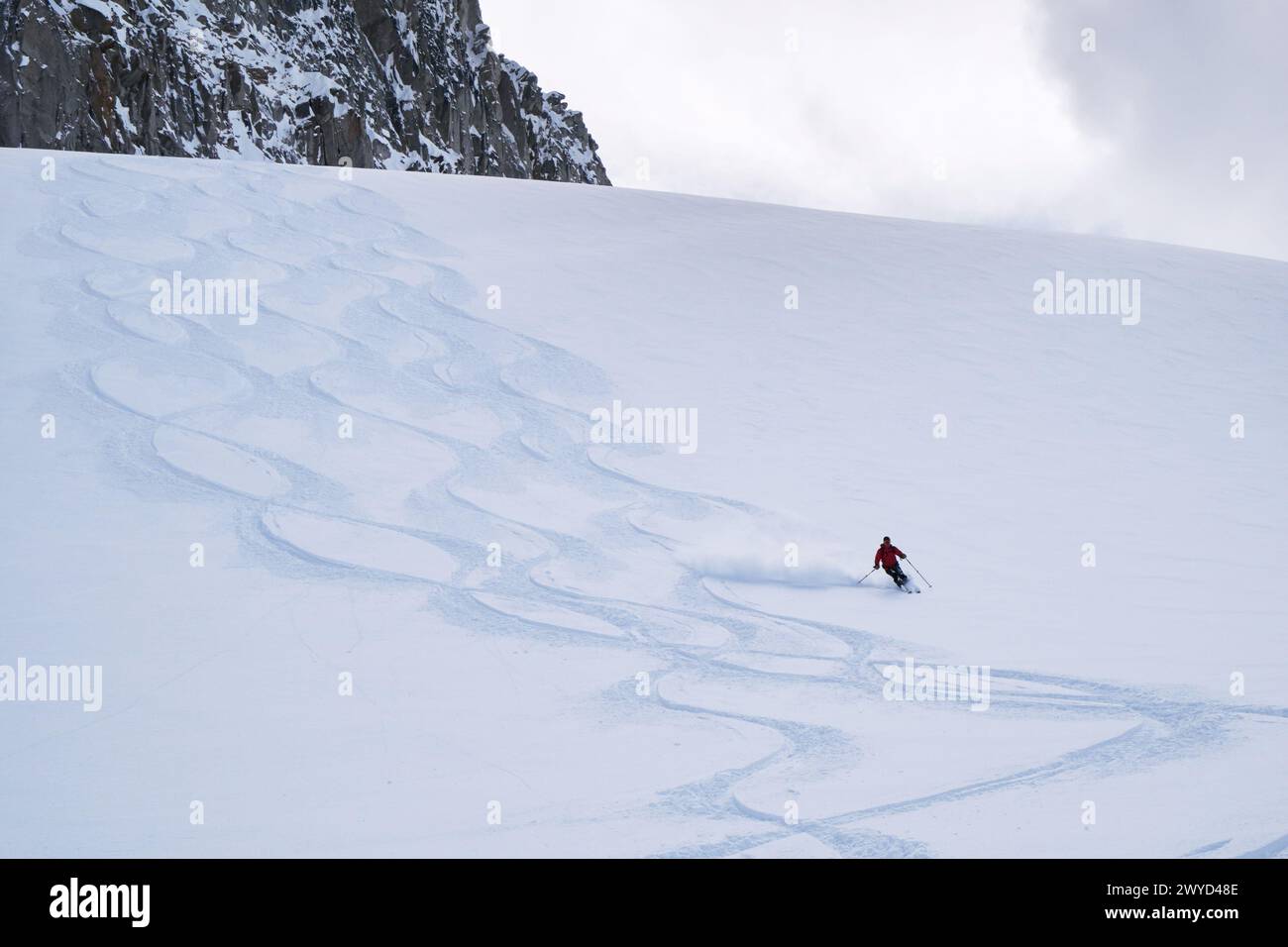 Sci di neve fresca nell'entroterra della British Columbia Foto Stock