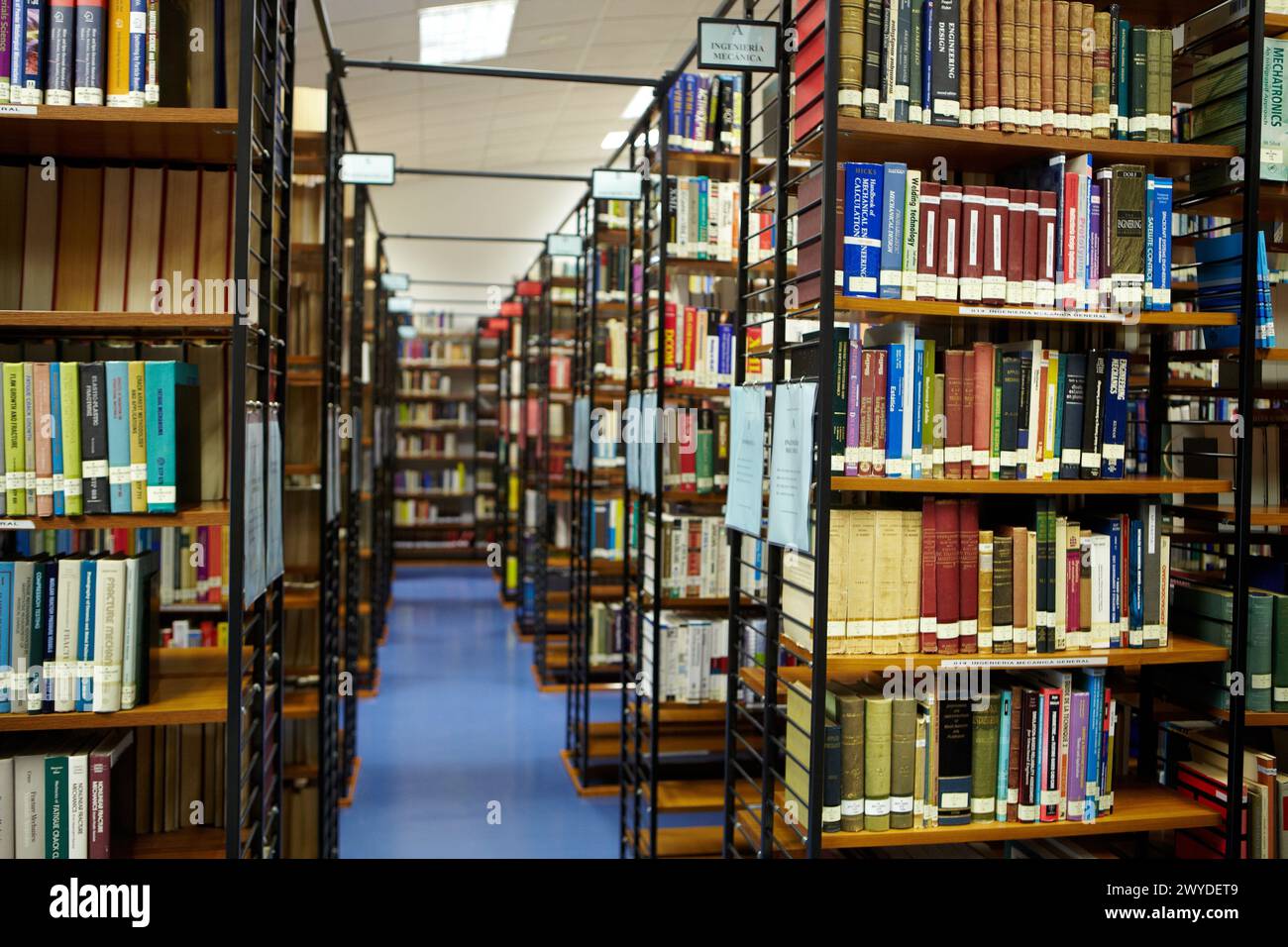 Biblioteca scientifica, Tecnun, Scuola di Ingegneria di San Sebastian, Università di Navarra, Donostia, Gipuzkoa, Paesi Baschi, Spagna. Foto Stock