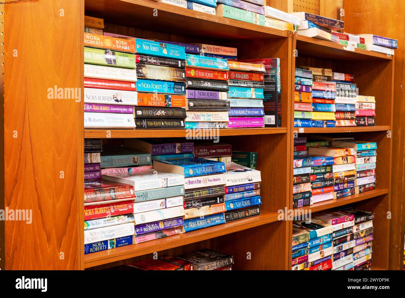 Scaffali di libri in brossura usati in vendita in un negozio di seconda mano o in una libreria di libri usati a Montgomery, Alabama, USA. Foto Stock