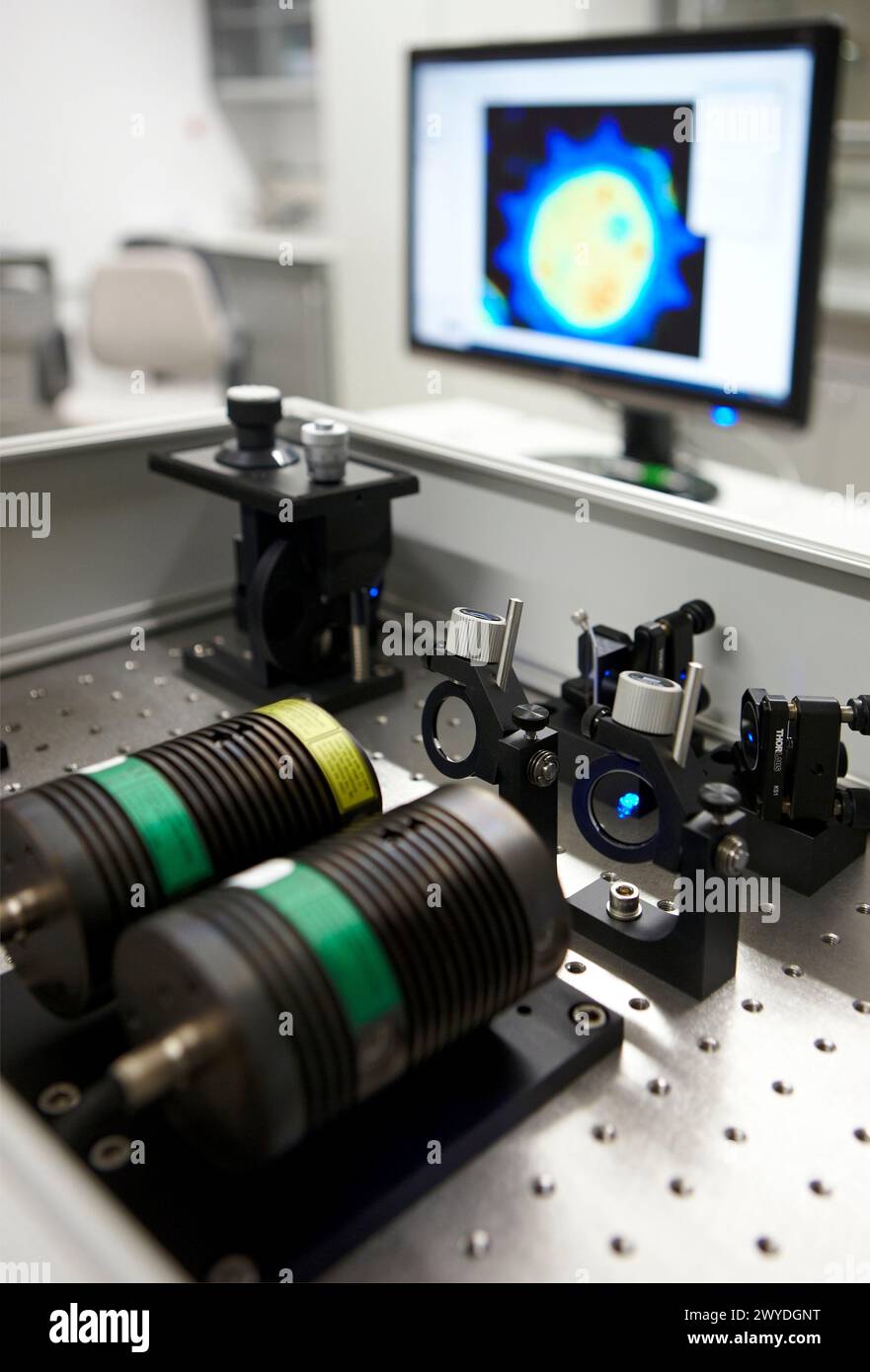 Laboratorio di Nanophotonics, microscopio a fluorescenza confocale con sensibilità molecolare, Materials Physics Center è un centro congiunto del Consiglio spagnolo per la ricerca scientifica CSIC e dell'Università dei Paesi Baschi UPV/EHU. La sua attività di ricerca si concentra principalmente sugli aspetti fondamentali della scienza dei materiali. L'attività scientifica nei laboratori e nelle strutture sperimentali del CFM si occupa della morfologia e delle proprietà elettroniche di materiali nano-strutturati, polimeri e materia morbida e materiali fotonici. Inoltre, è dedicata una parte importante della ricerca scientifica nel quadro della CFM Foto Stock