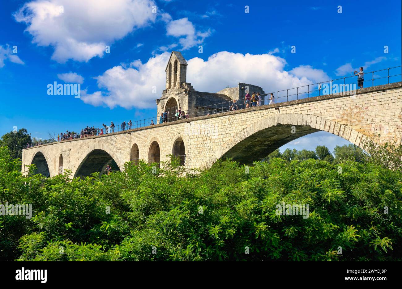 Le Pont Saint Benezet, le Rhône, Avignone, Vaucluse, Provence-Alpes-Côte dAzur, Francia, Europa. Foto Stock