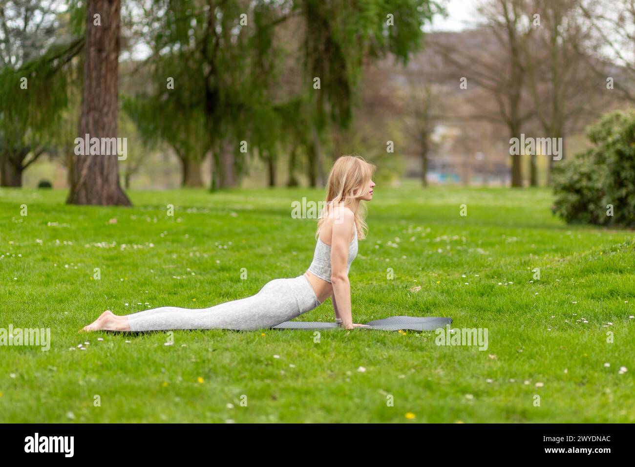 Donna che fa yoga in parco, esercizio di cobra. Foto Stock