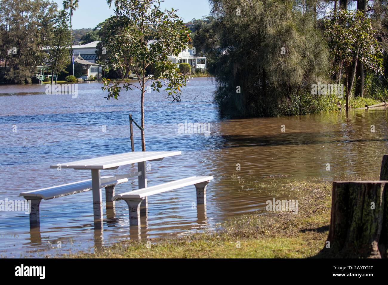 Sabato 6 aprile 2024. Sydney è stata colpita da un diluvio di pioggia nelle ultime 48 ore, con alcune aree, tra cui Penrith, che hanno ricevuto le piogge più pesanti di sempre, a Narrabeen i residenti intorno alla laguna di Narabeen, nella foto, sono stati invitati ad evacuare a causa dell'innalzamento del livello dell'acqua dal lago Narrabeen sulle spiagge settentrionali di Sydney. dove sono caduti oltre 150 mm di pioggia. Ci sono stati oltre 50 avvistamenti di inondazioni lungo i fiumi nel nuovo Galles del Sud e si prevede che la diga di Warragamba fuoriesca. Accreditate le notizie dal vivo di Martin Berry @alamy. Foto Stock