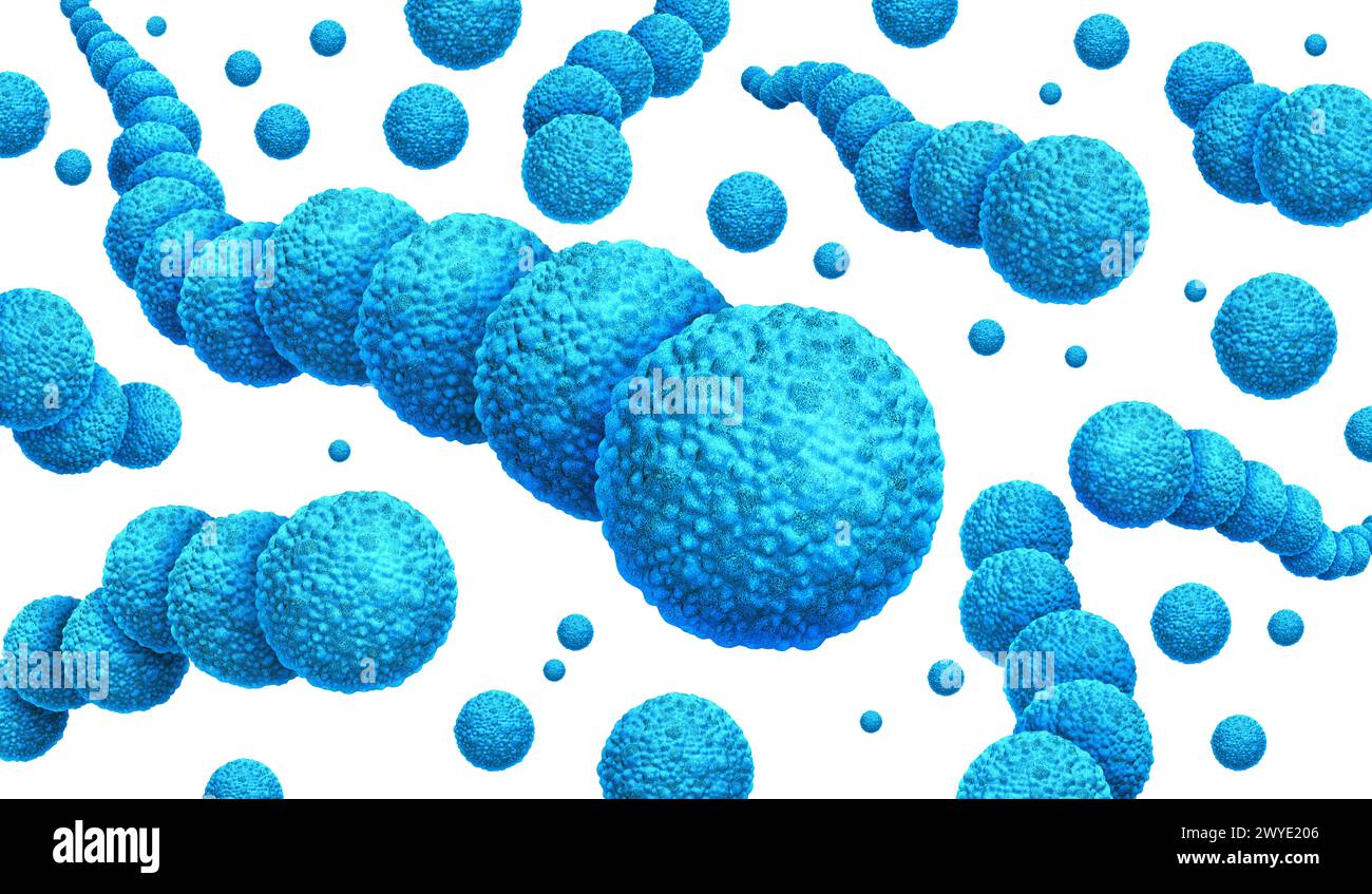 Batteri Streptococcus e infezioni Streptococciche come focolaio batterico gram-positivo come divisione sferica delle cellule Streptococcaceae diffusione e crescita Foto Stock