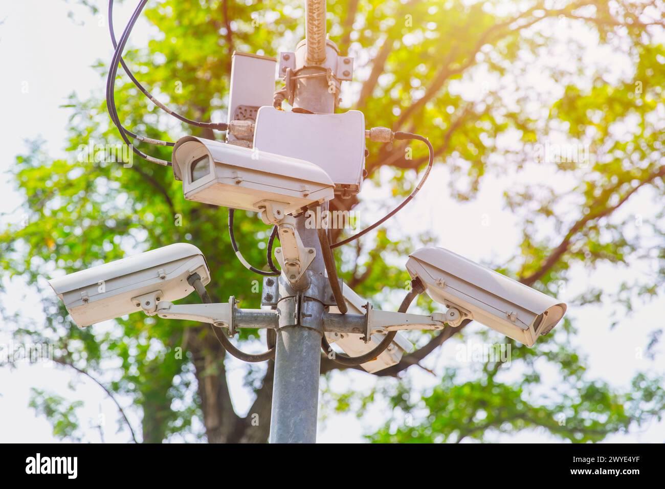 Telecamere di rete CCTV IP per esterni copertura dell'alloggiamento resistente alle intemperie per proteggere il sistema di sicurezza della rete dell'area pubblica sfondo verde del parco Foto Stock