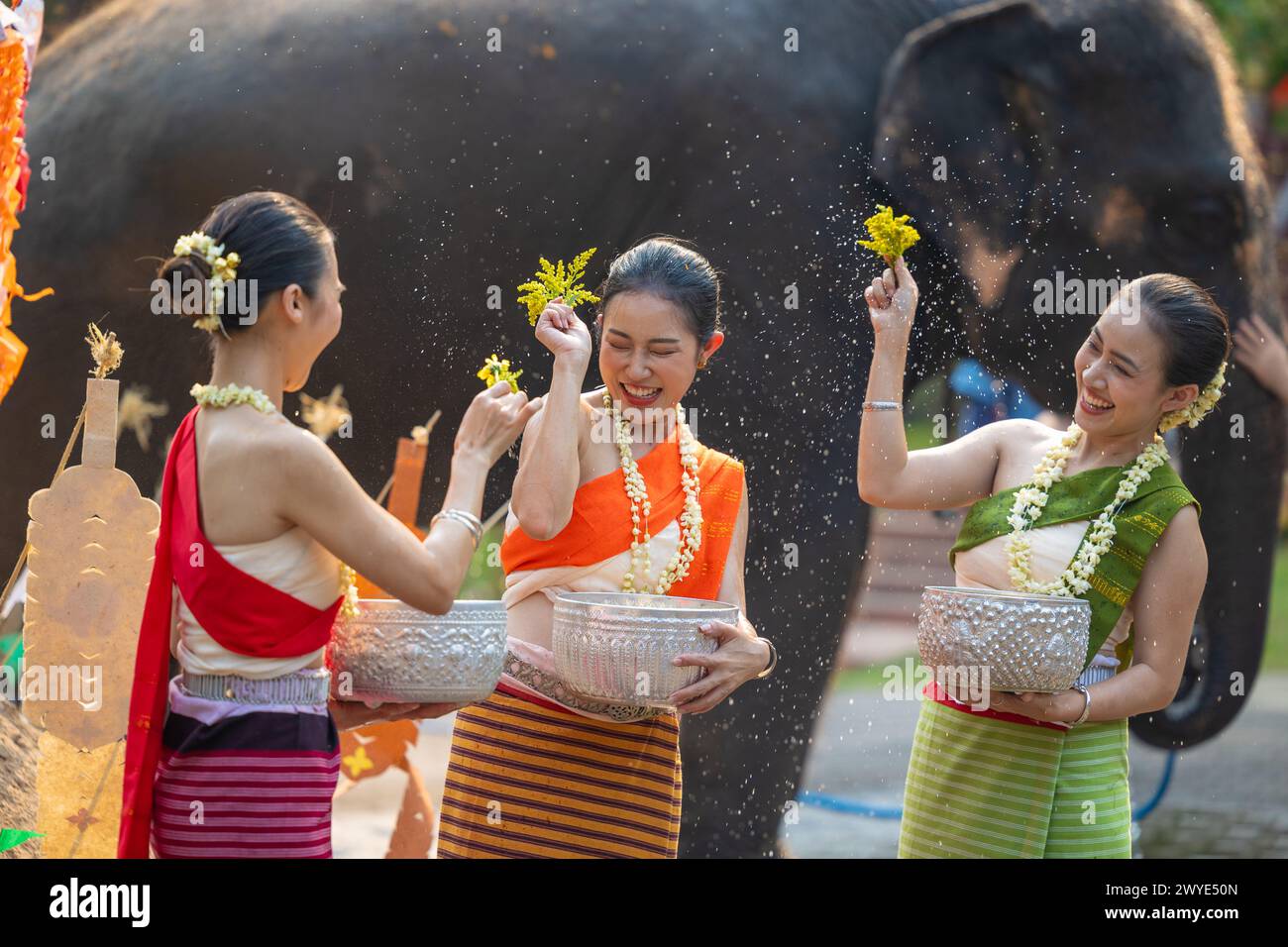 Festival di Songkran. I popoli della Thailandia del Nord indossano abiti tradizionali che spruzzano acqua insieme nel festival culturale di Songkran con il dorso di elefante Foto Stock
